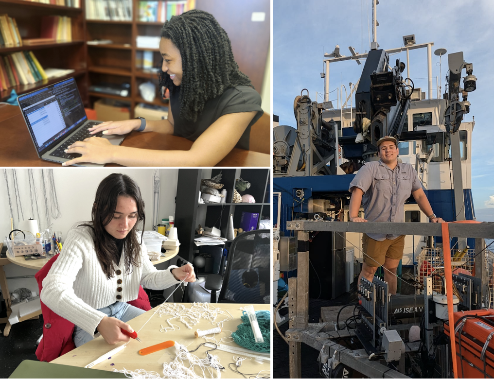 undergraduate researchers montage